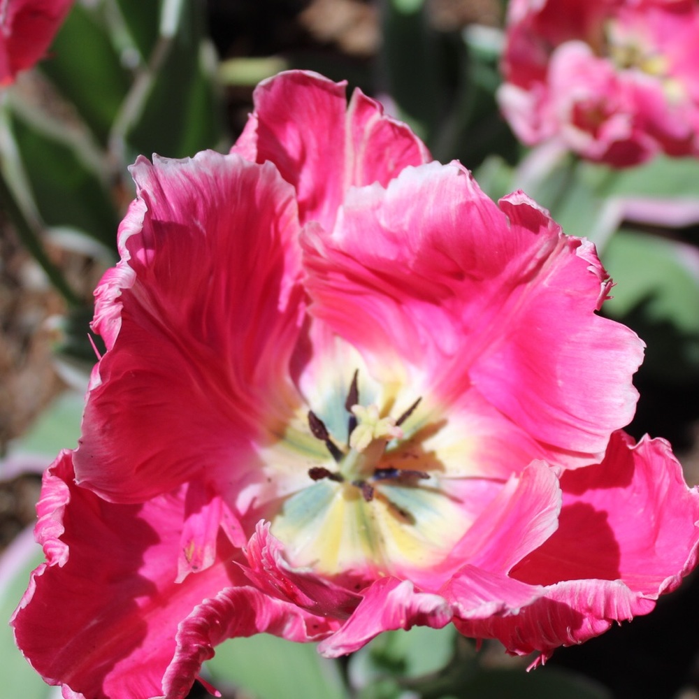 Meet your Posher, Brittany